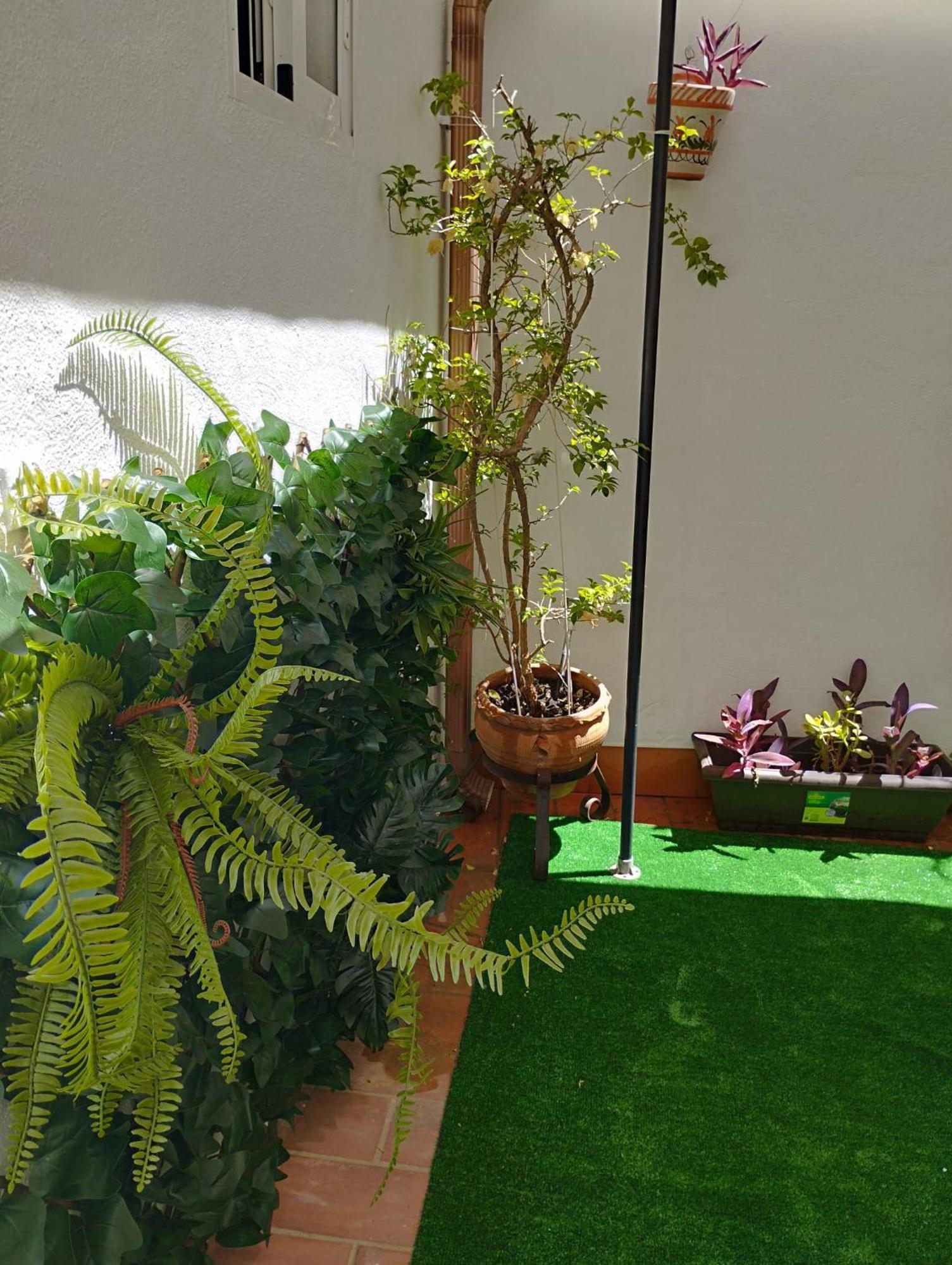 Patios Con Encanto 科爾多瓦 外观 照片