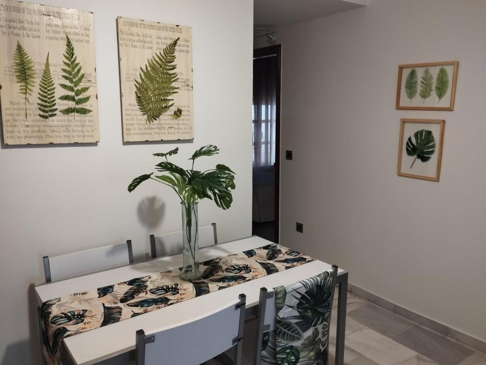 Patios Con Encanto 科爾多瓦 外观 照片
