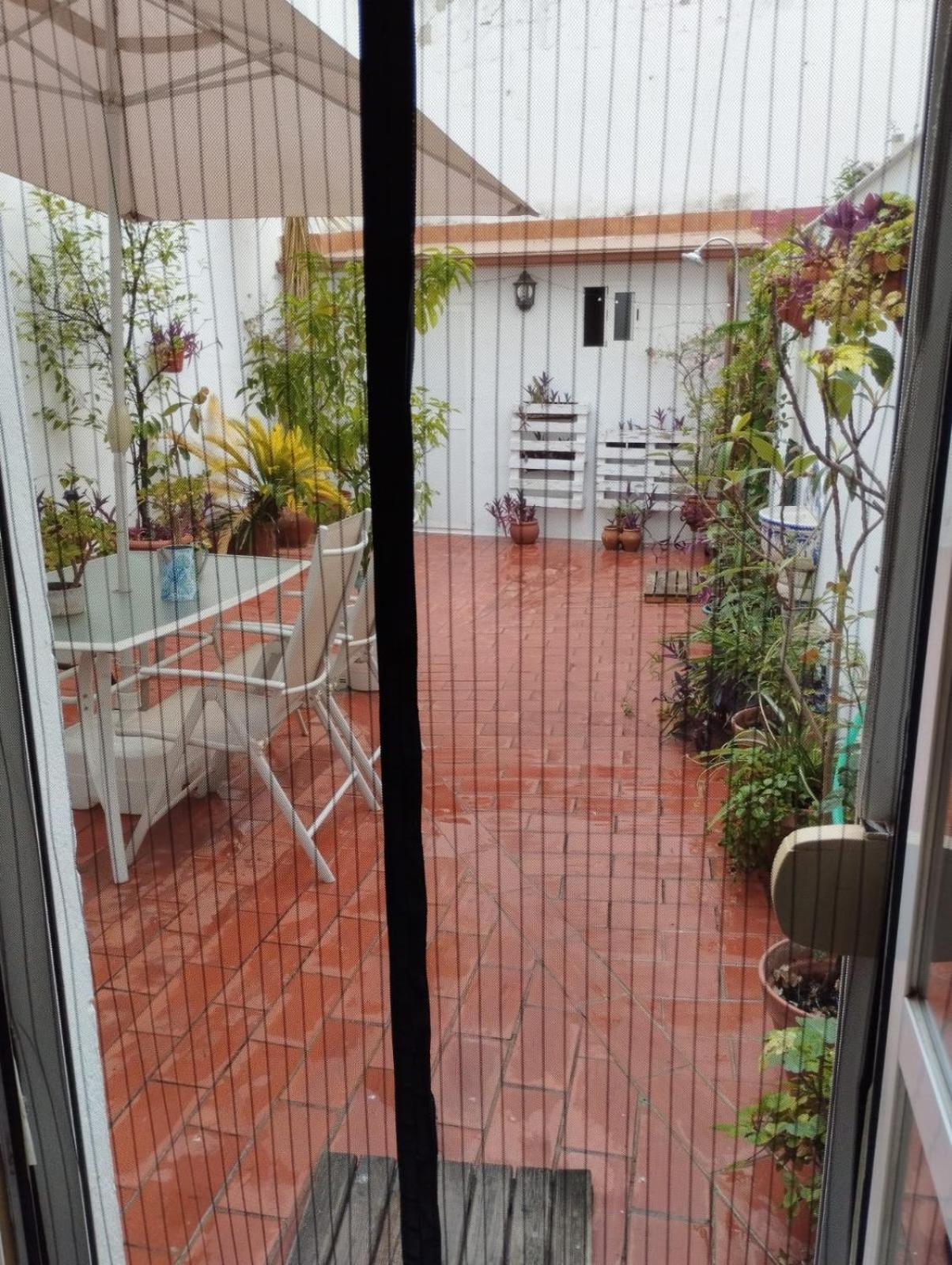 Patios Con Encanto 科爾多瓦 外观 照片