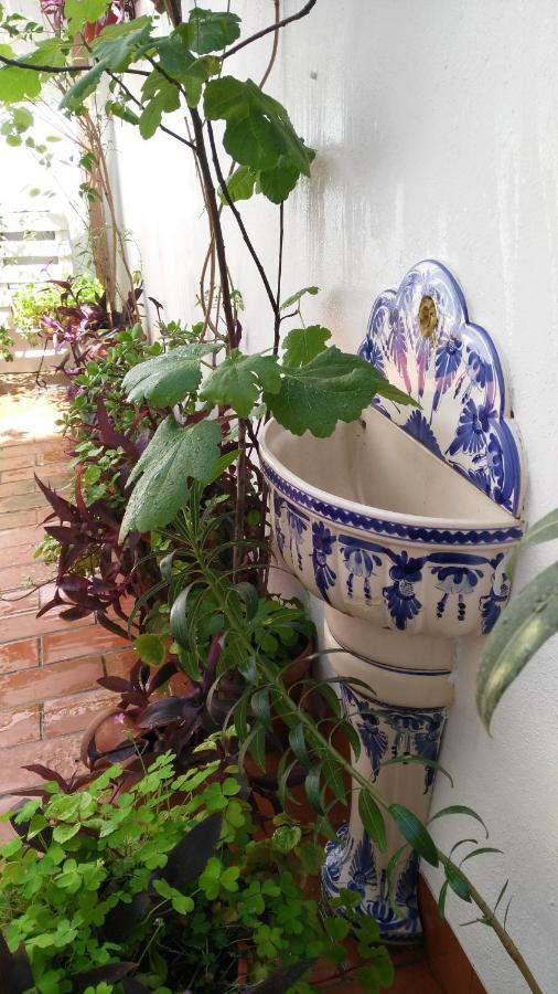 Patios Con Encanto 科爾多瓦 外观 照片